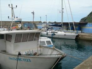 1449611