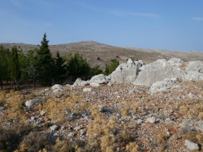 2193554